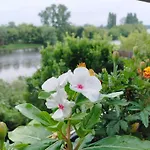 Les Terrasses De La Riviere Bed & Breakfast Lamothe-Montravel