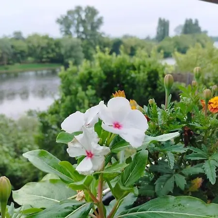 Les Terrasses De La Riviere Bed & Breakfast Lamothe-Montravel
