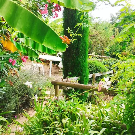 Bed & Breakfast Les Terrasses De La Riviere Lamothe-Montravel